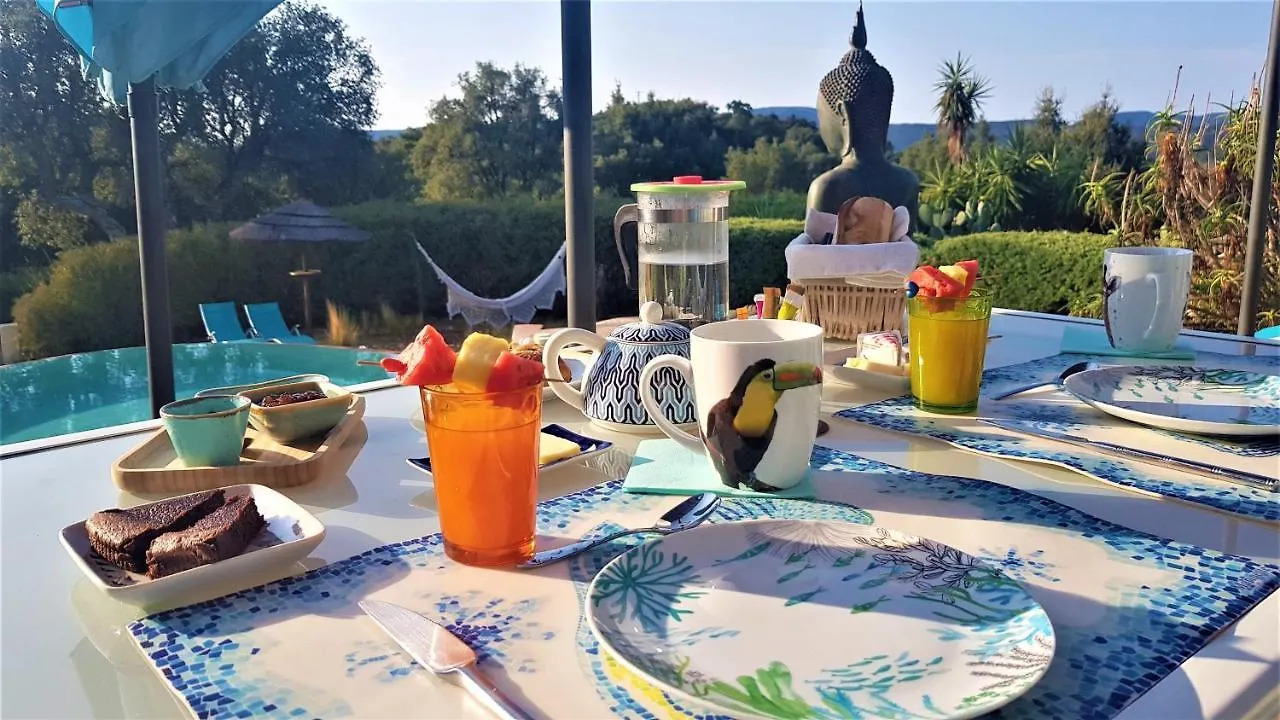 Villa Des Delices Grimaud France