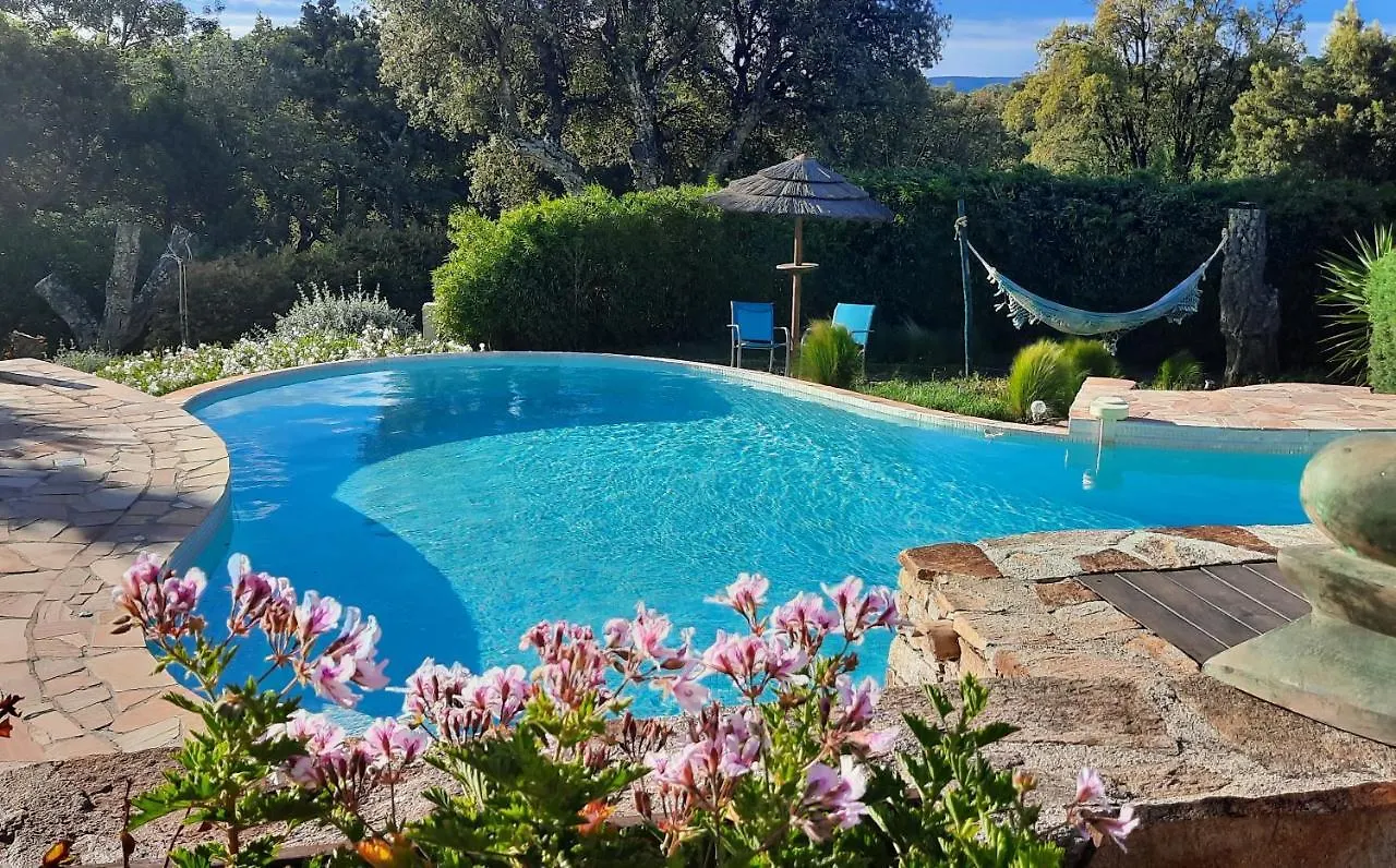 Villa Des Delices Grimaud France