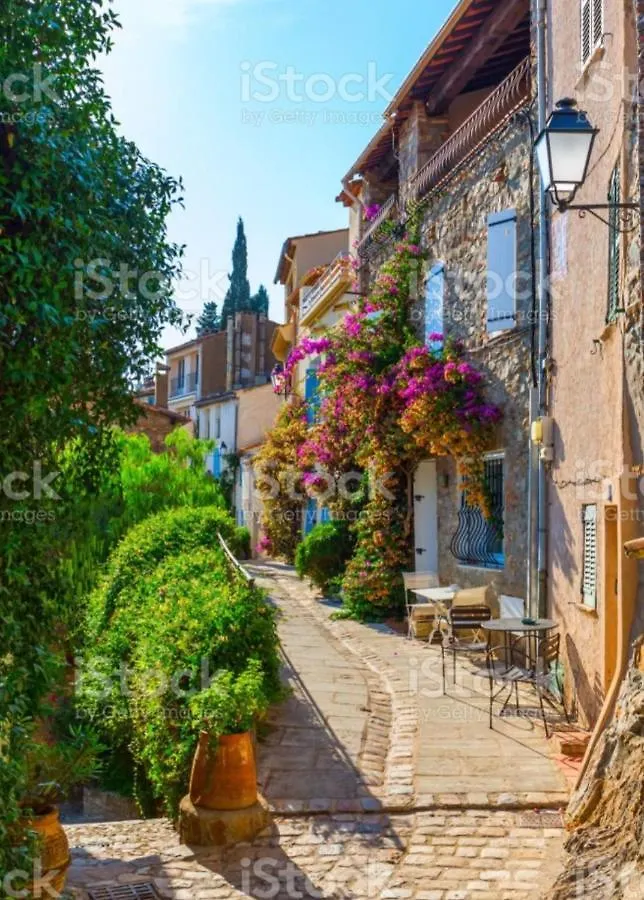 Villa Des Delices Grimaud